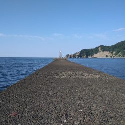 エギングロッドでちょい投げ